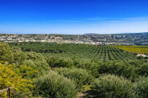 Seafront 90,000 m² Plot of Land for Sale in Heraklion — photo 5