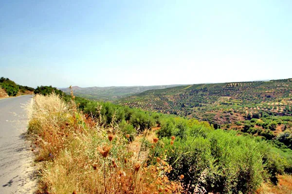 1,245 m² Plot for Sale in Archanes, Archanes-Asterousia