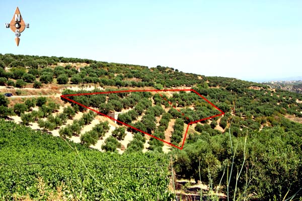 1,245 m² Plot for Sale in Archanes, Archanes-Asterousia — photo 2