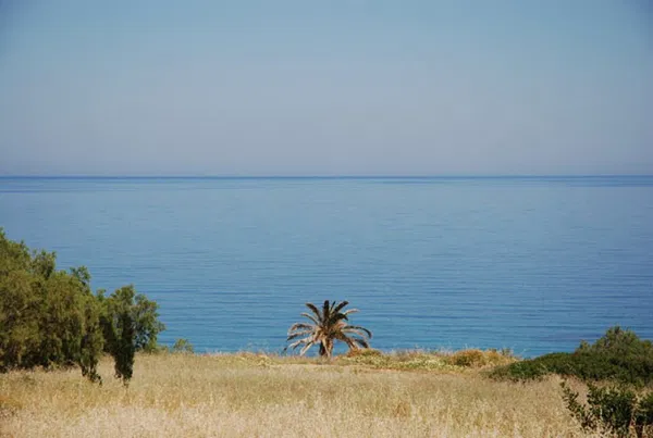 Sea-View 4,000 m² Plot of Land for Sale in Mochlos, Sitia — photo 5