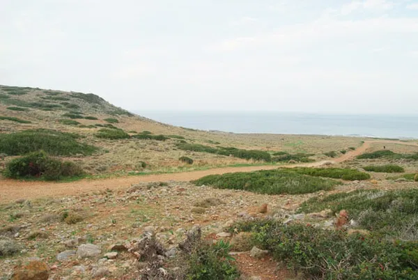 Sea-View 32,000 m² Land for Sale in Sitia, Lasithi