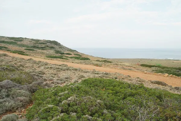 Sea-View 32,000 m² Land for Sale in Sitia, Lasithi — photo 3