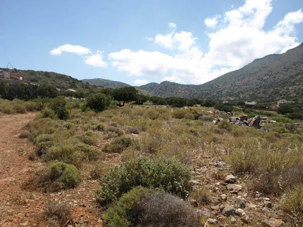 Seafront 44,000 m² Plot for Sale in Plaka Elounda, Agios Nikolaos — photo 4