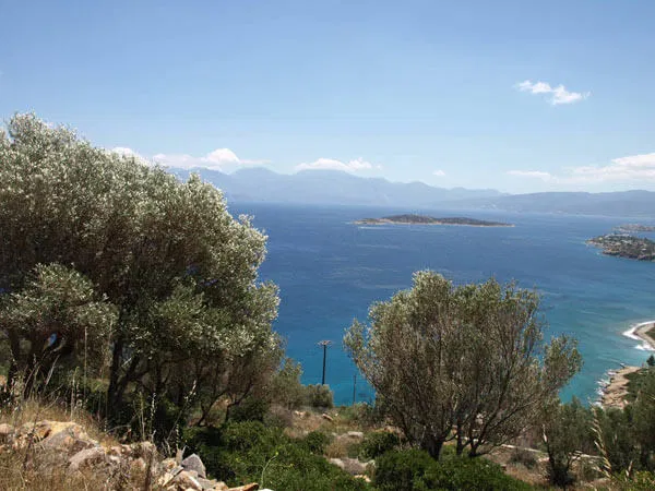 Seafront 80,000 m² Plot for Sale in Agios Nikolaos, Lasithi — photo 5