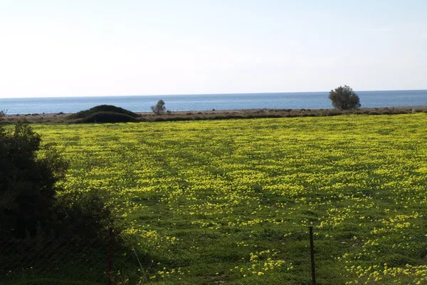 Sea-View 97,000 m² Plot of Land for Sale in Makris Gialos, Lasithi — photo 3