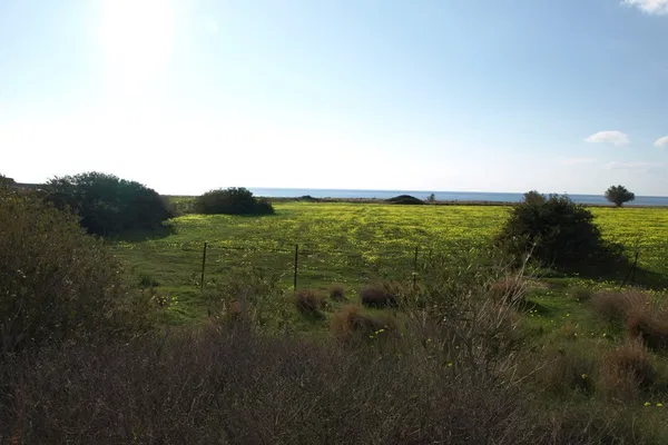 Sea-View 97,000 m² Plot of Land for Sale in Makris Gialos, Lasithi — photo 2