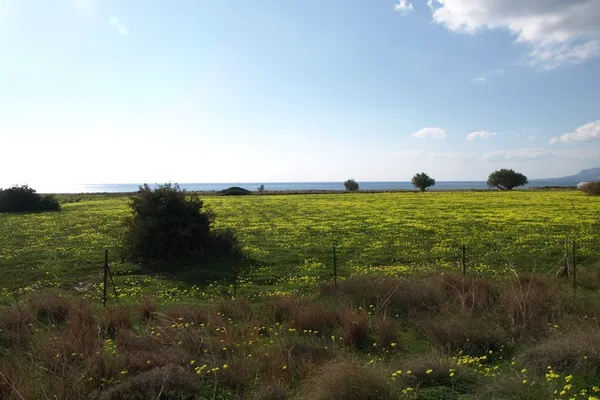 Sea-View 97,000 m² Plot of Land for Sale in Makris Gialos, Lasithi