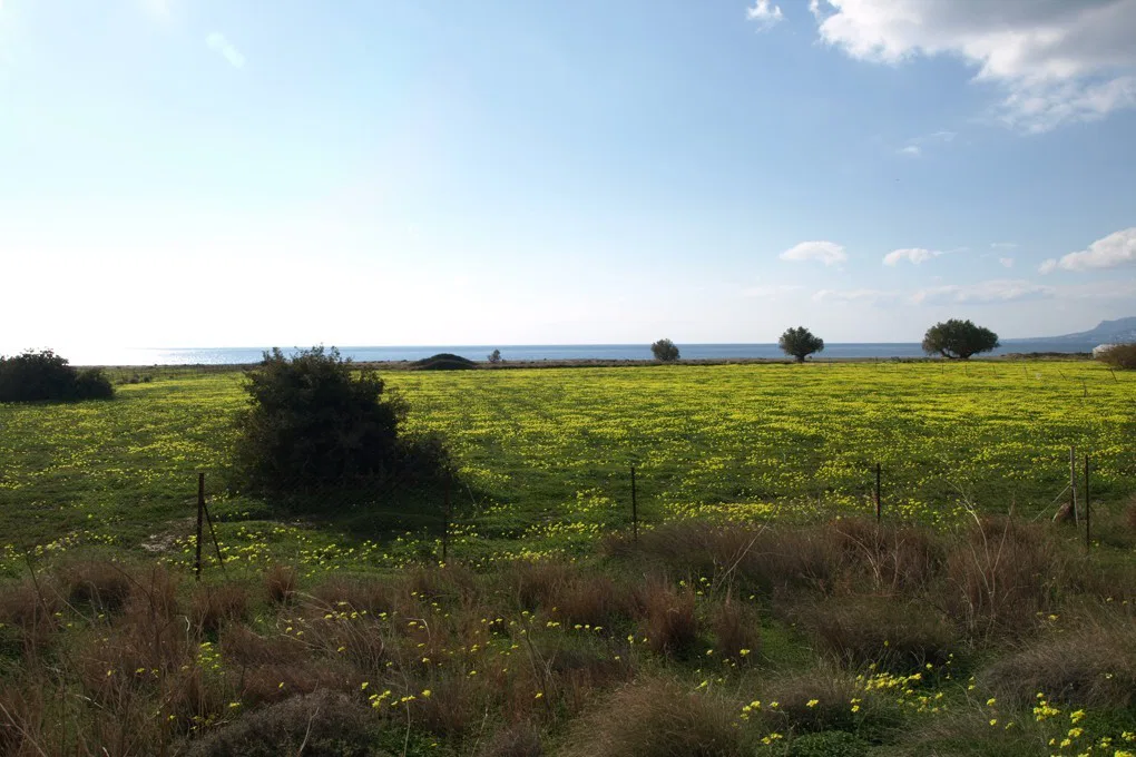 Sea-View 97,000 m² Plot of Land for Sale in Makris Gialos, Lasithi