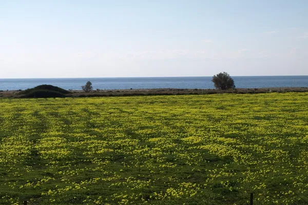 Sea-View 97,000 m² Plot of Land for Sale in Makris Gialos, Lasithi — photo 4