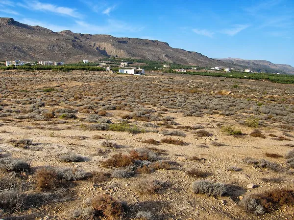 Sea-View 32,702 m² Land for Sale in Xerokampos, Sitia — photo 3