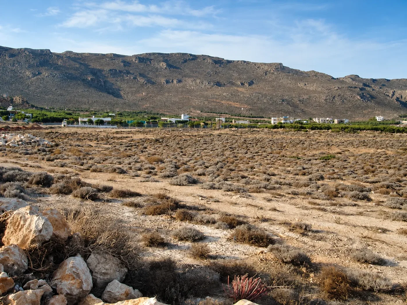 Sea-View 32,702 m² Land for Sale in Xerokampos, Sitia