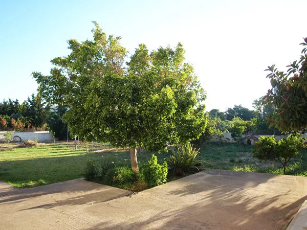 Sea View Four-Bedroom Villa for Sale in Profitis Ilias, Chania — photo 4