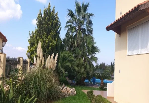 Four-Bedroom Sea View Villa for Sale in Aroni, Akrotiri — photo 4