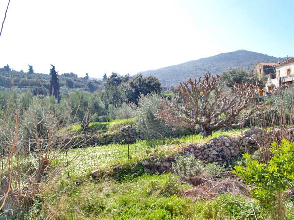 Seafront Two-Bedroom Villa for Sale in Tzitzifes, Apokoronas — photo 4