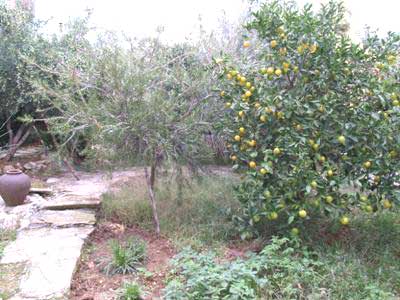 Three-Bedroom Seafront Villa for Sale in Kalamitsi Amigdali, Apokoronas — photo 4