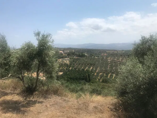 Seafront 5,700 m² Land for Sale in Stalos, Chania — photo 4
