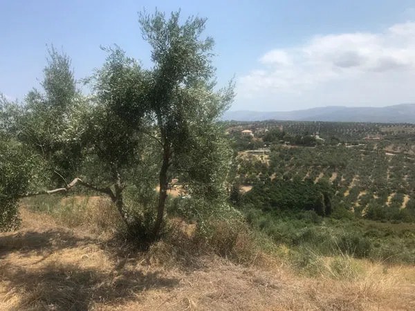 Seafront 5,700 m² Land for Sale in Stalos, Chania — photo 2