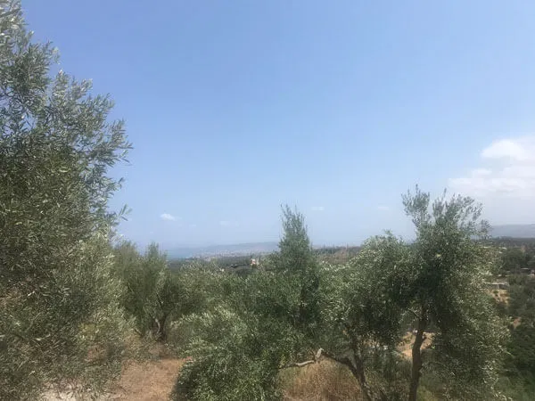 Seafront 5,700 m² Land for Sale in Stalos, Chania — photo 3