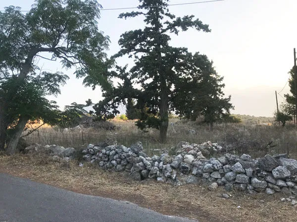 Seafront 5,000 m² Plot of Land for Sale in Vamos, Apokoronas — photo 3