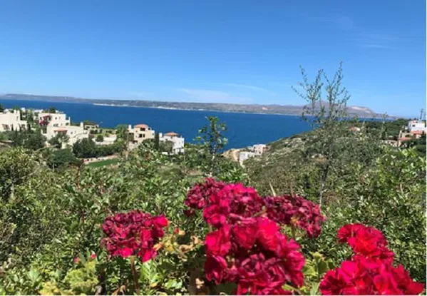 Seafront 7,000 m² Land for Sale in Almyrida, Apokoronas