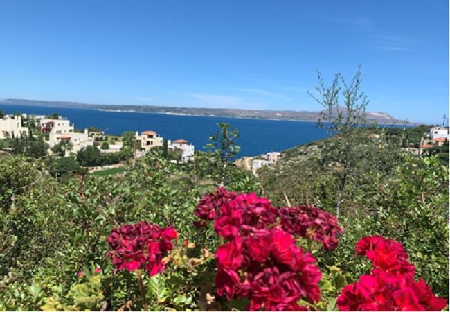 Seafront 7,000 m² Land for Sale in Almyrida, Apokoronas