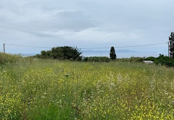 Seafront 1,504 m² Land for Sale in Chorafakia, Akrotiri