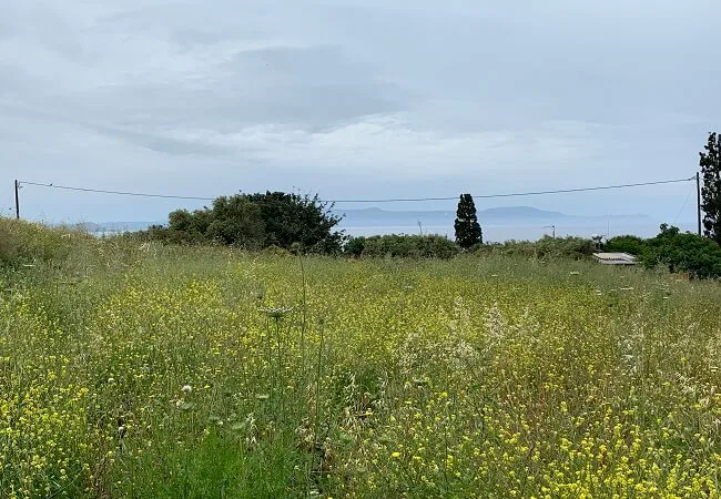 Seafront 1,504 m² Land for Sale in Chorafakia, Akrotiri