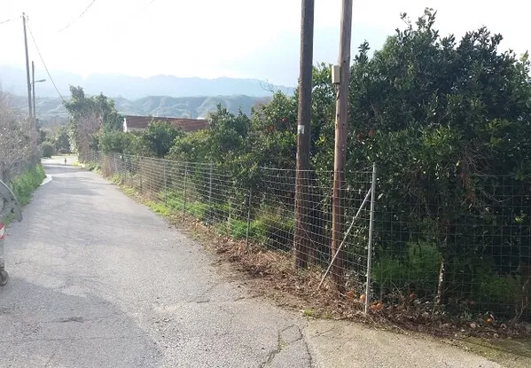 Seafront 1,800 m² Land for Sale in Koufos, Platanias — photo 3