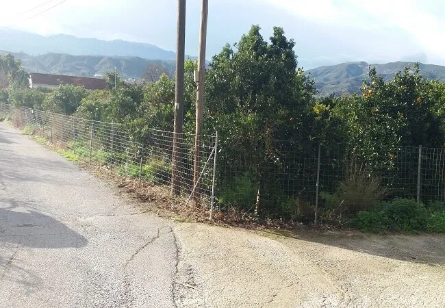 Seafront 1,800 m² Land for Sale in Koufos, Platanias