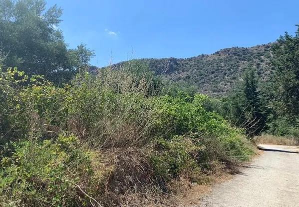 Seafront 6,819 m² Plot of Land for Sale in Kalyves, Apokoronas — photo 3