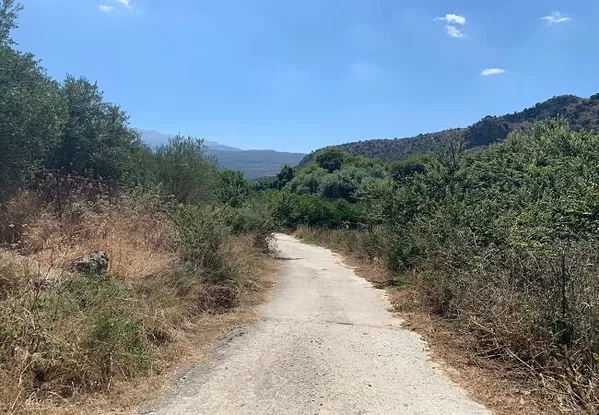 Seafront 6,819 m² Plot of Land for Sale in Kalyves, Apokoronas — photo 2