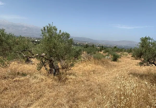 Seafront 5,102 m² Land for Sale in Kefalas, Apokoronas — photo 4