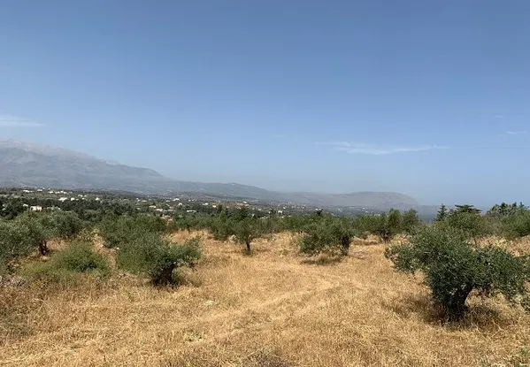 Seafront 5,102 m² Land for Sale in Kefalas, Apokoronas — photo 2