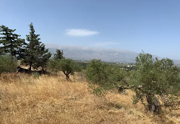Seafront 5,102 m² Land for Sale in Kefalas, Apokoronas — photo 3