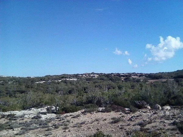 663,000 m² Land for Sale in Gavdos, Chania — photo 2