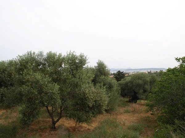 Seafront 2,300 m² Plot of Land for Sale in Galatas, Chania