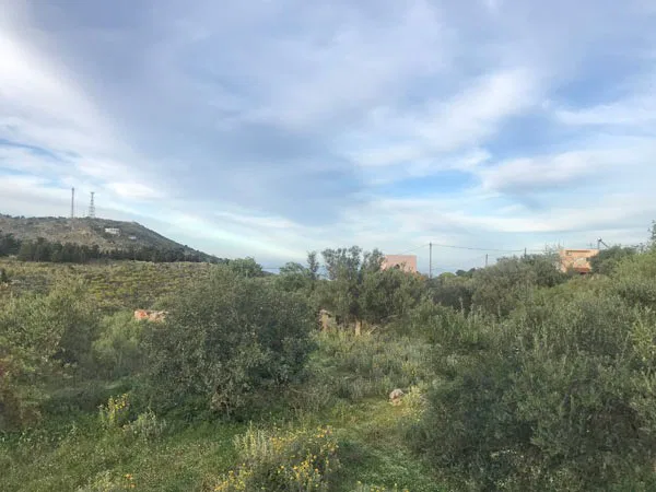 Seafront 4,882 m² Plot for Sale in Likotinara, Apokoronas