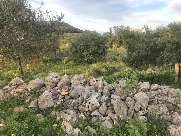 Seafront 4,882 m² Plot for Sale in Likotinara, Apokoronas — photo 3