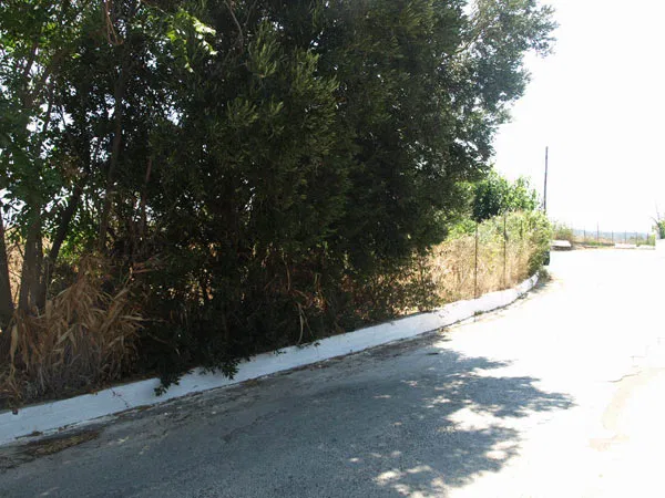 Sea-View 2,643 m² Plot for Sale in Tavronitis, Platanias — photo 4