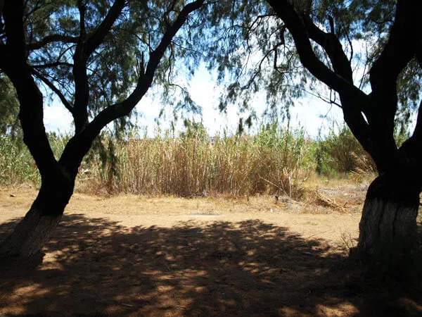 Sea-View 14,750 m² Plot for Sale in Kolymbari, Platanias — photo 3