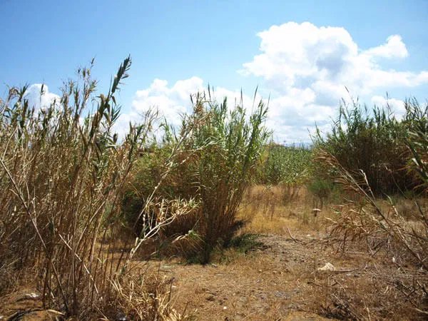 Sea-View 14,750 m² Plot for Sale in Kolymbari, Platanias — photo 4