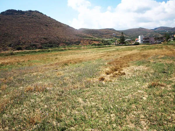 Sea-View 12,462 m² Plot for Sale in Kissamos, Chania — photo 5