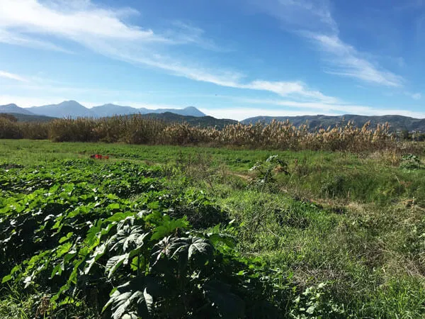 Sea-View 20,210 m² Plot of Land for Sale in Korfalonas, Kissamos — photo 2