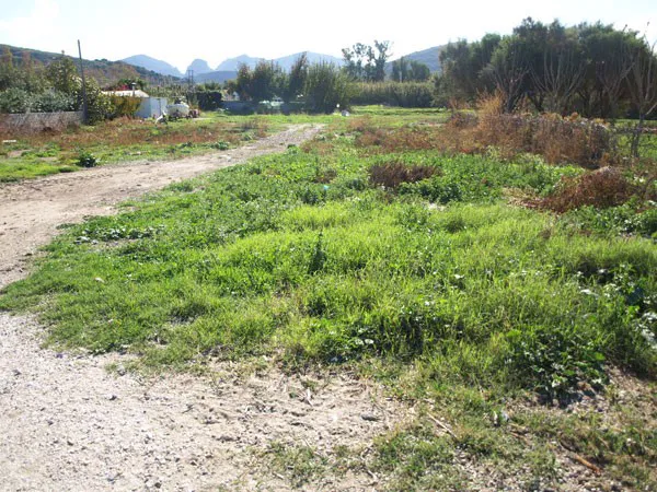 Sea-View 1,000 m² Land for Sale in Nopigia, Kissamos — photo 4