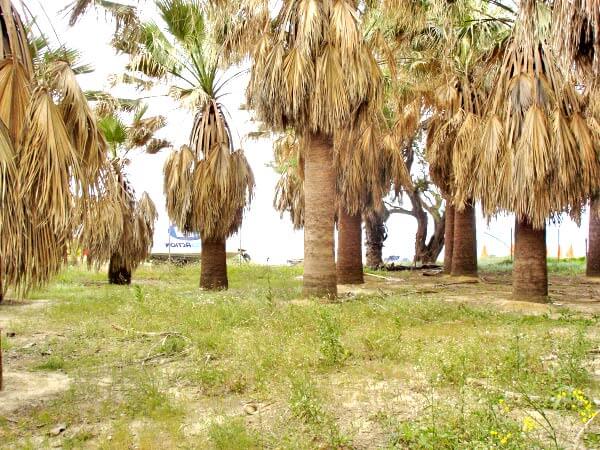 Sea-View 10,300 m² Plot for Sale in Agia Marina, Chania — photo 3