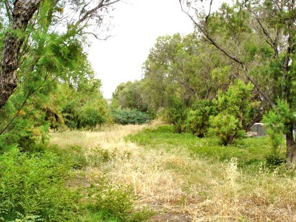 Sea-View 10,300 m² Plot for Sale in Agia Marina, Chania — photo 5