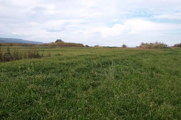 Sea-View 12,000 m² Plot for Sale in Rapaniana, Platanias — photo 4
