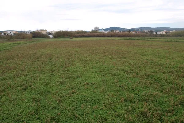 Sea-View 12,000 m² Plot for Sale in Rapaniana, Platanias — photo 5