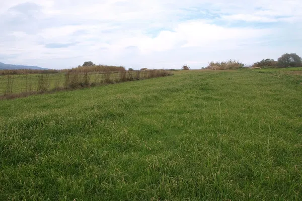 Sea-View 12,000 m² Plot for Sale in Rapaniana, Platanias — photo 2