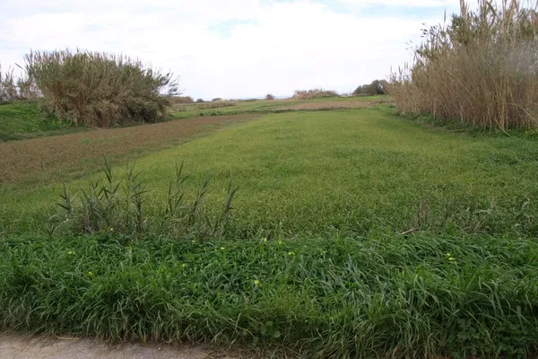 Sea-View 12,000 m² Plot for Sale in Rapaniana, Platanias — photo 3